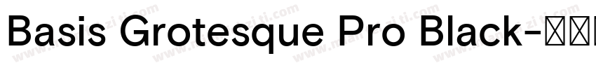 Basis Grotesque Pro Black字体转换